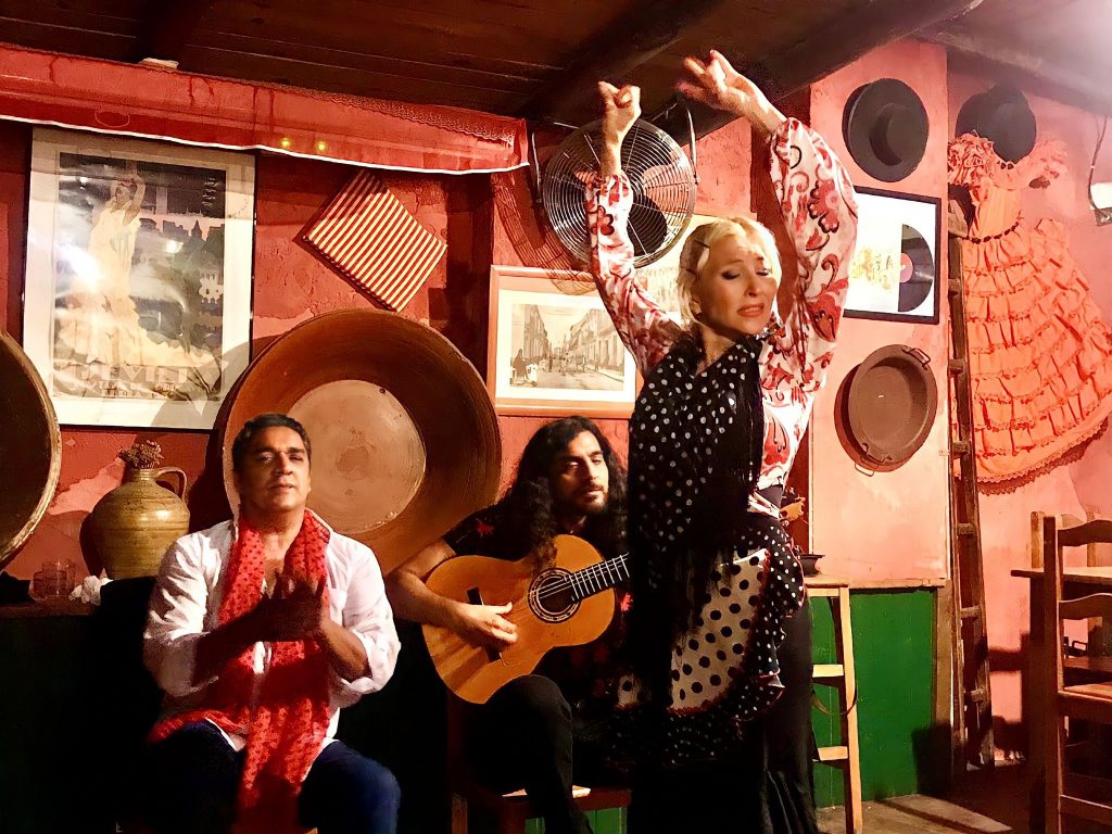 Fiesta gitana y baile flamenco online