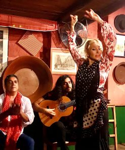 Aprende flamenco online, curso virtual desde Sevilla