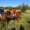 Promenade à cheval à Seville et Grenade