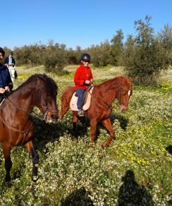 Promenade à cheval à Seville et Grenade