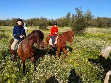 Promenade à cheval à Seville et Grenade