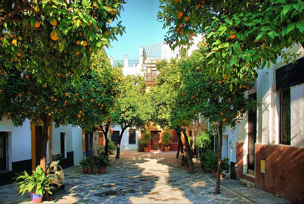 Santa Ana walking tour in Seville