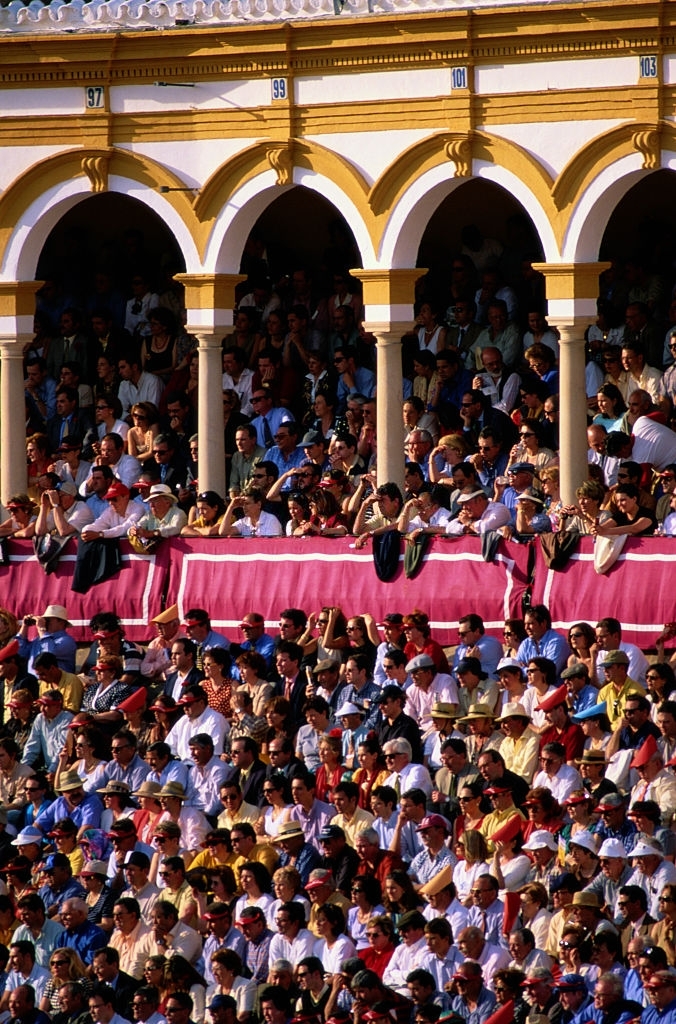 Where to attend bullfights in Seville