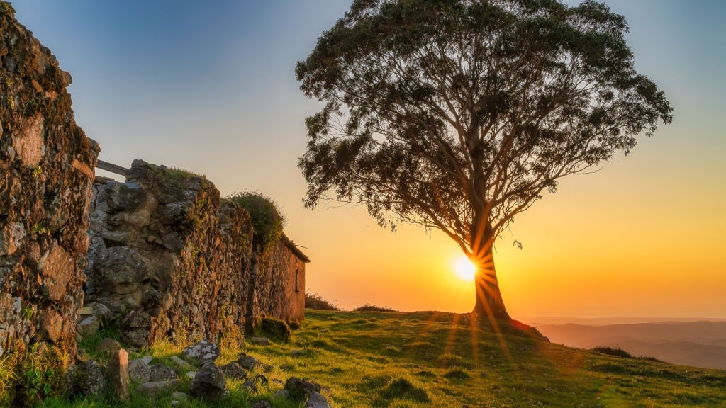 Serra Monchique in Algarve