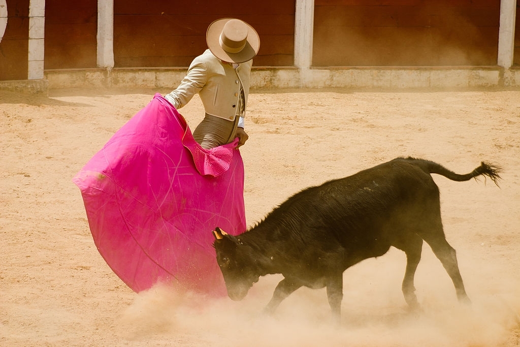 Where to see best Bullfighting in Seville, Spain and learn about its