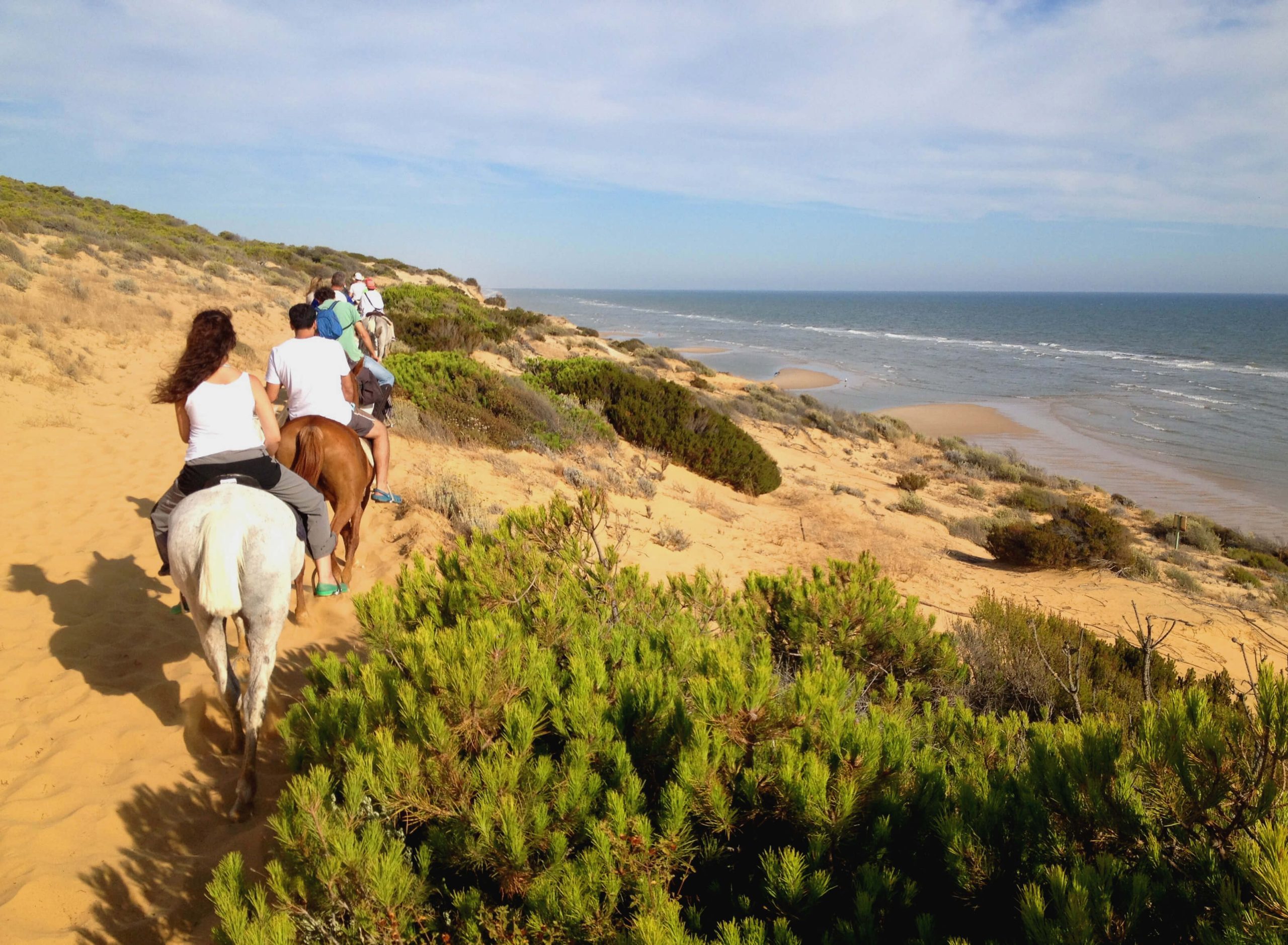 Horse riding around Doñana National Park