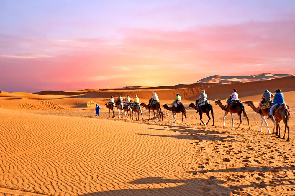 Camel ride in Tangier, Morocco