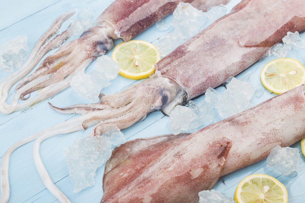 Fresh octopus or squids raw on wooden board with ingredients. Photo Credit: dashu83