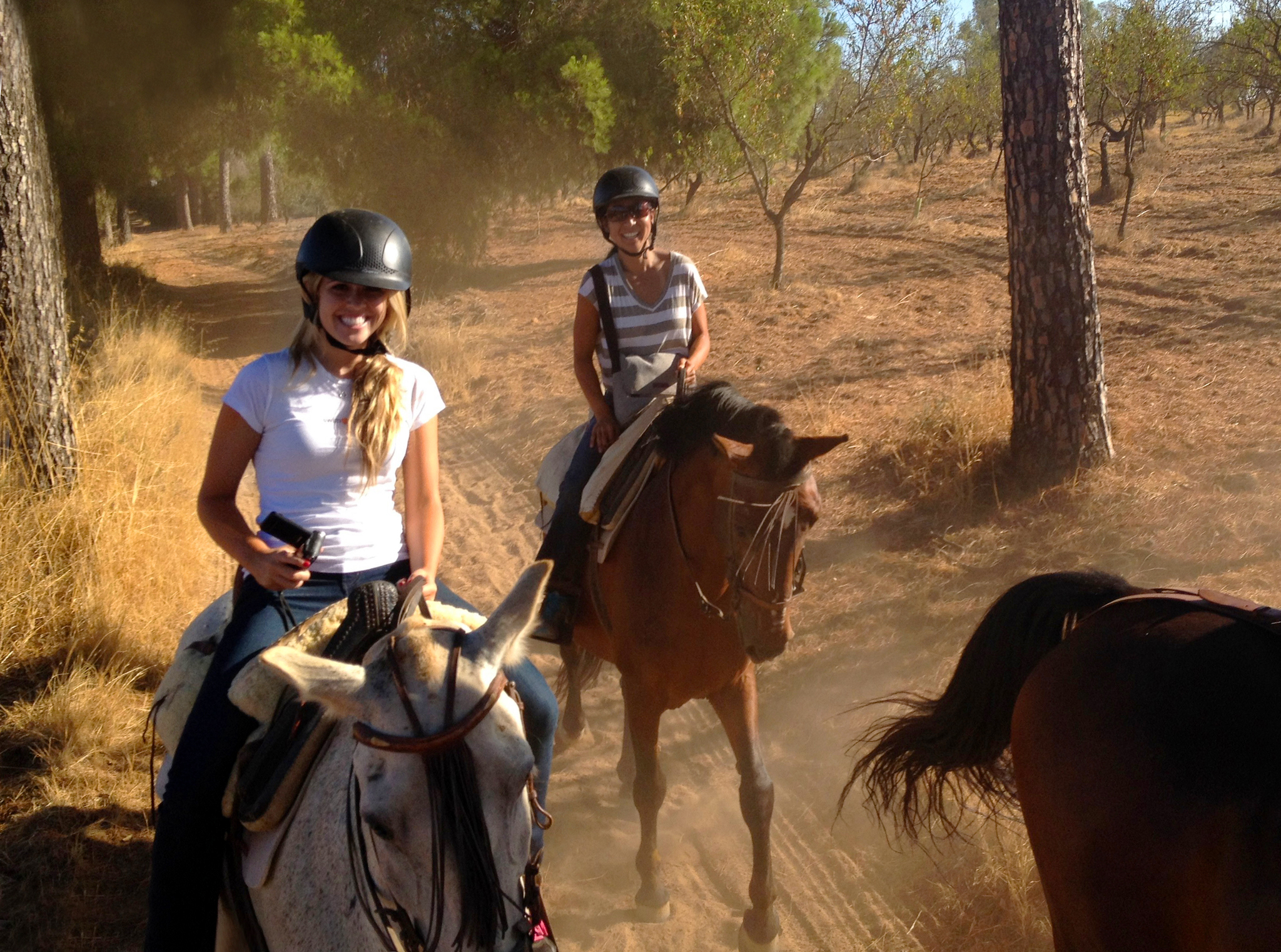 Horse riding options in Granada