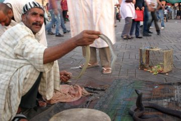 top 10 tourists mistakes in morocco