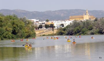 Kayak tour in Seville for kids and families