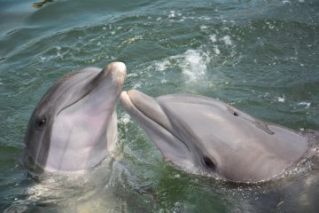 unique experiences in cadiz with kids