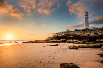 Best day trips to Cadiz from Seville