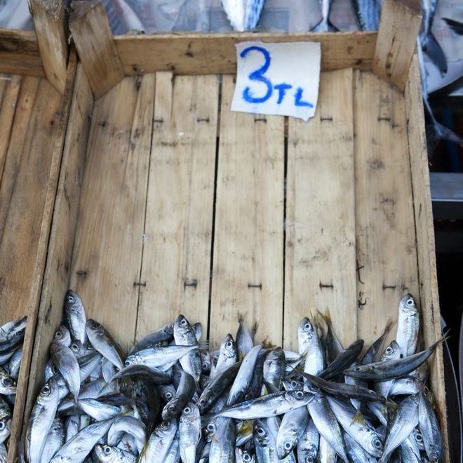 Best Markets in Tangier