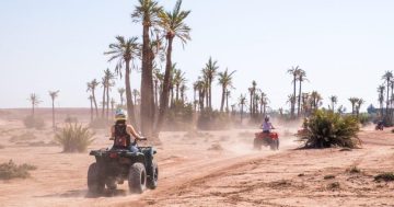 Best activities to do in Morocco