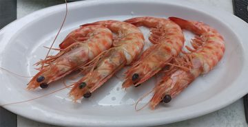 Where to find the best food in cadiz