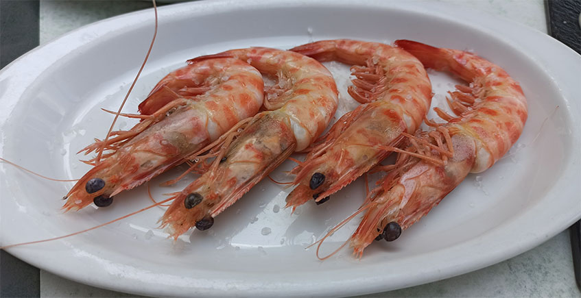What are the best foods in cadiz?