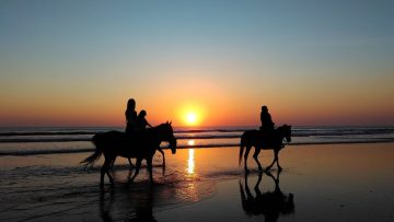 Best activities to do in Essouira
