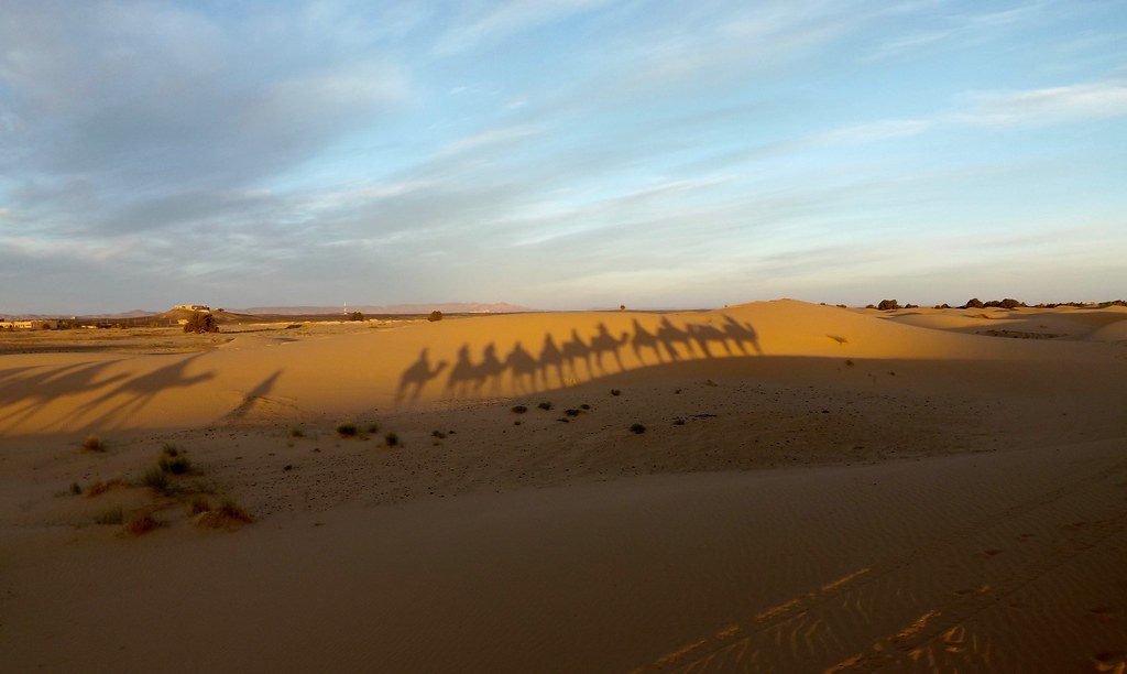 Must-do activities in the Moroccan desert